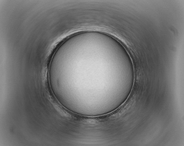 X0000113131507200909181658