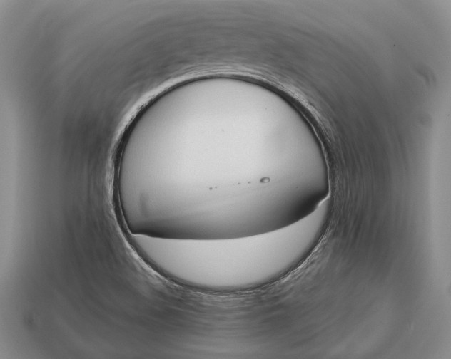 X0000113131508200909181658