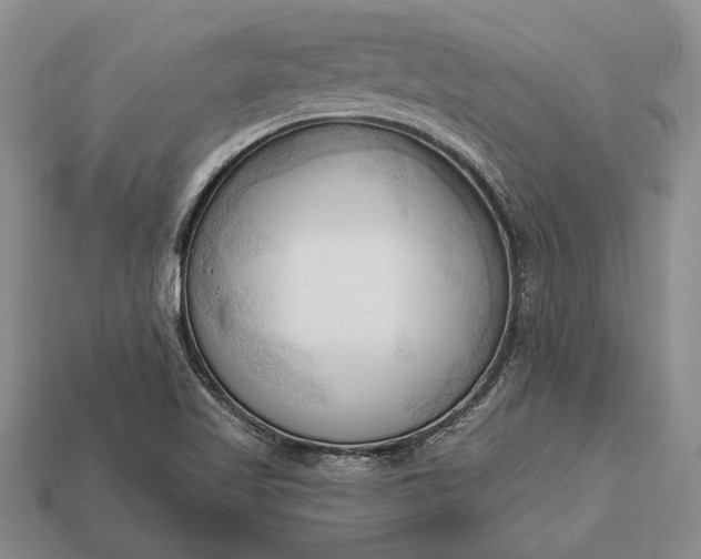 X0000113131509200909181658