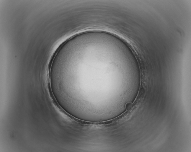 X0000113131519200909181659