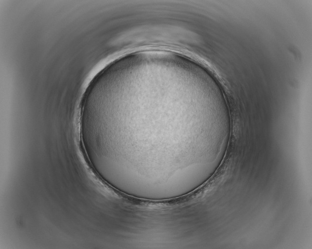 X0000113131522200909181659