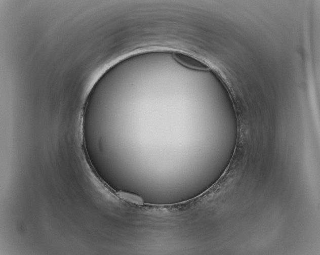 X0000113131524200909181659