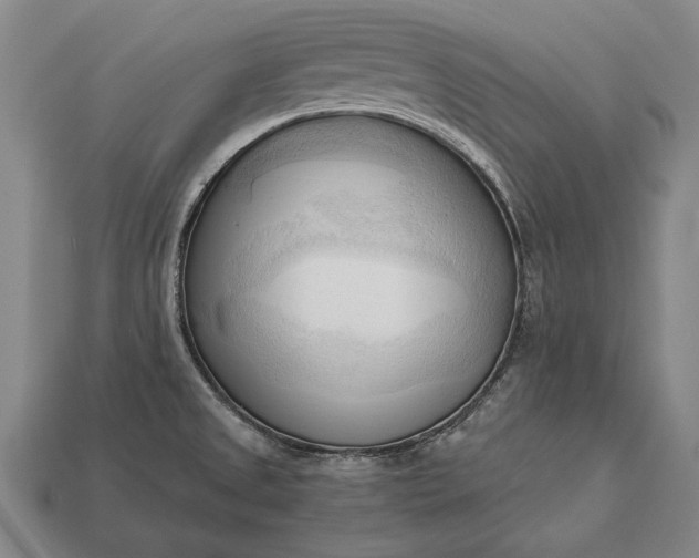 X0000113131525200909181659