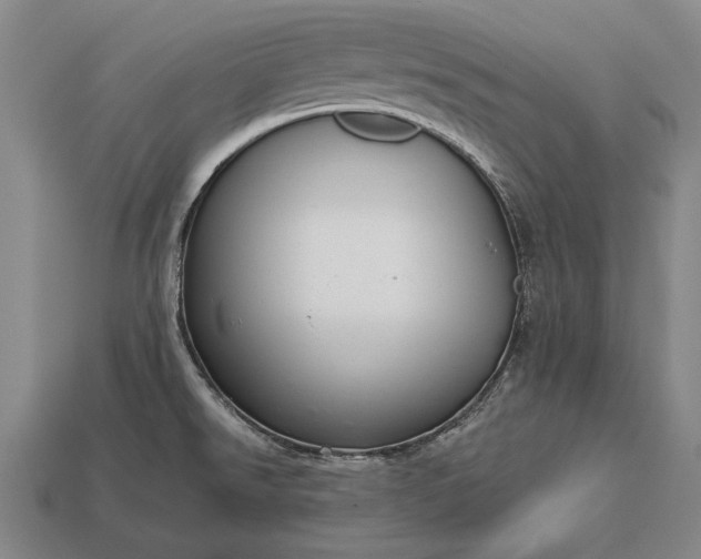 X0000113131526200909181659