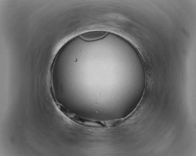 X0000113131527200909181659