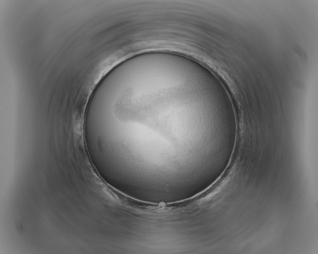 X0000113131529200909181659