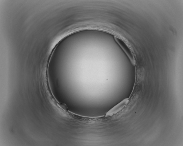 X0000113131530200909181659