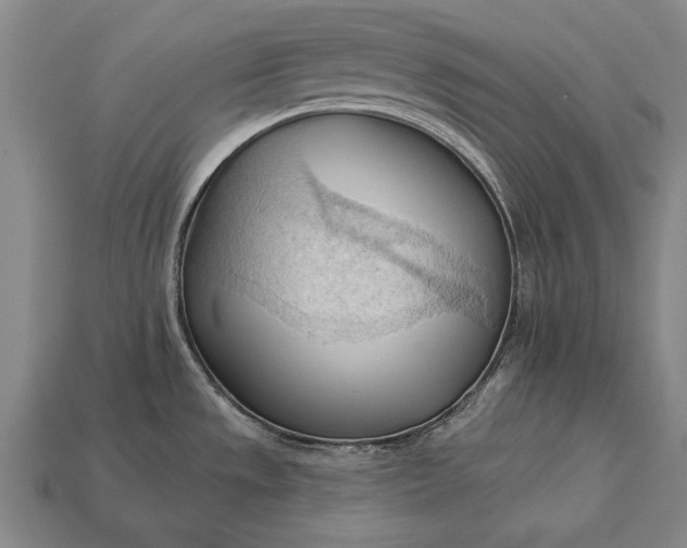 X0000113131533200909181659