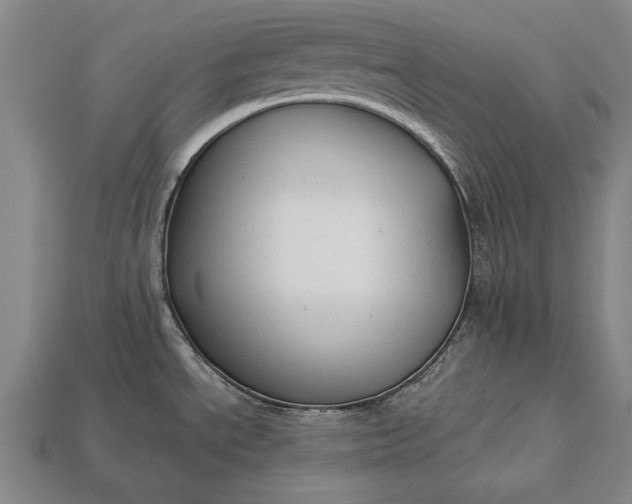 X0000113131534200909181659