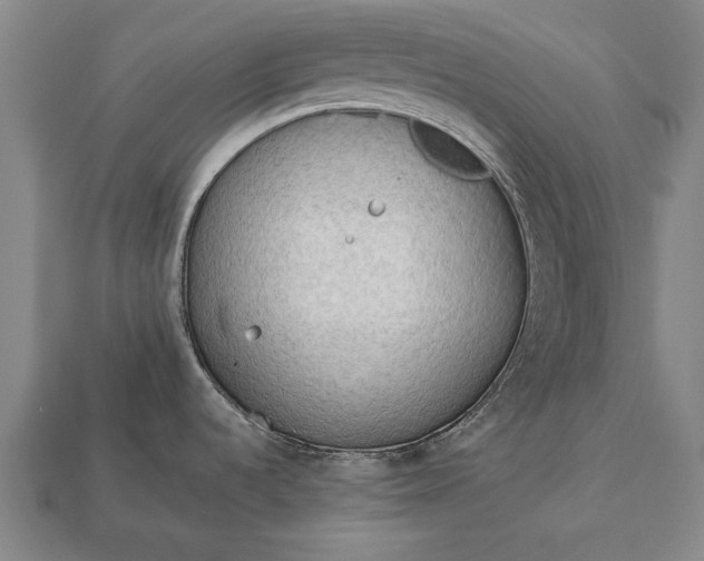 X0000113131536200909181659