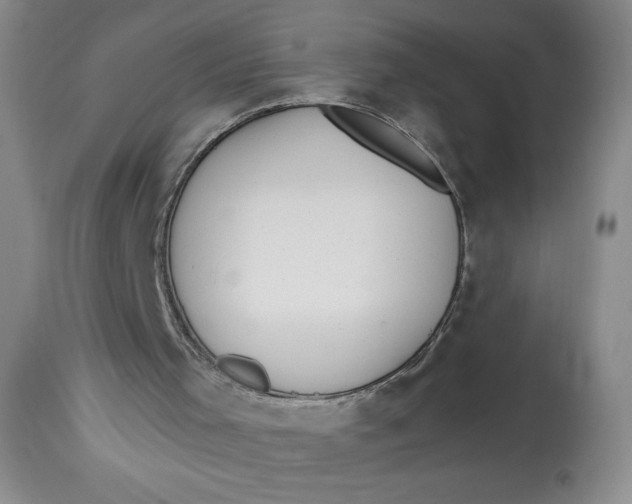 X0000113130001200909251250