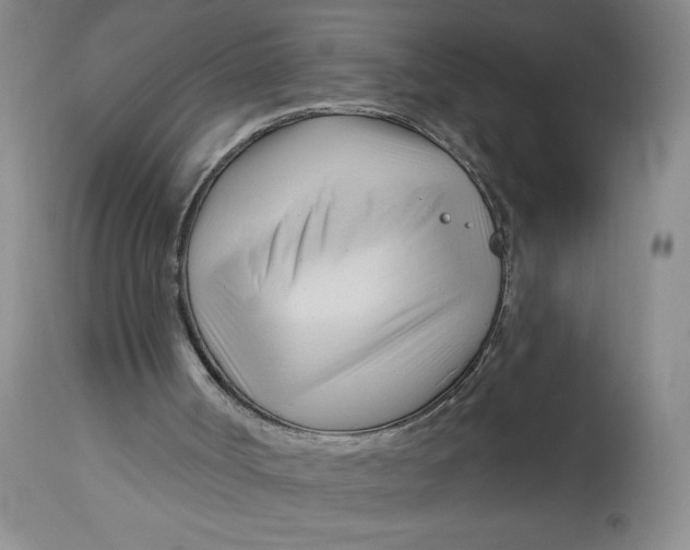 X0000113130002200909251250