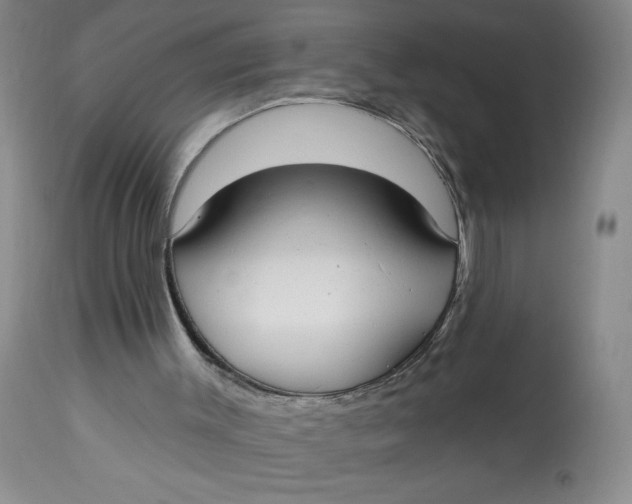 X0000113130003200909251250