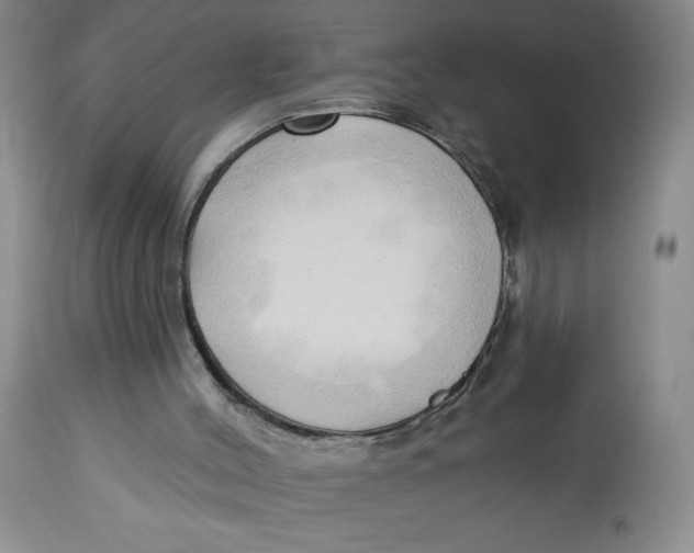 X0000113130004200909251250