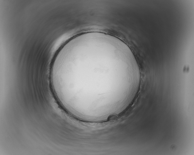 X0000113130006200909251250