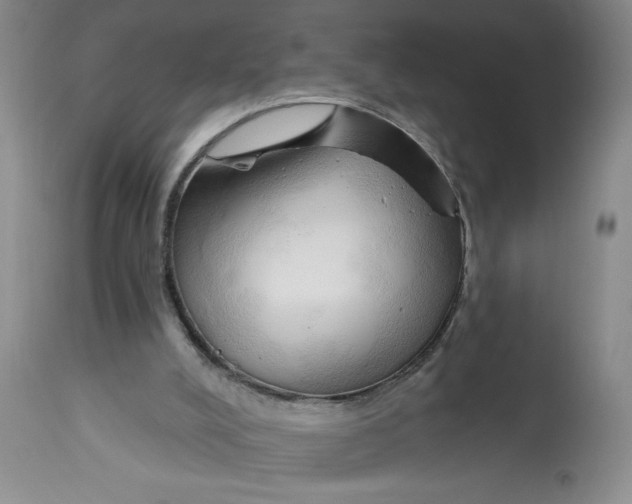 X0000113130008200909251250