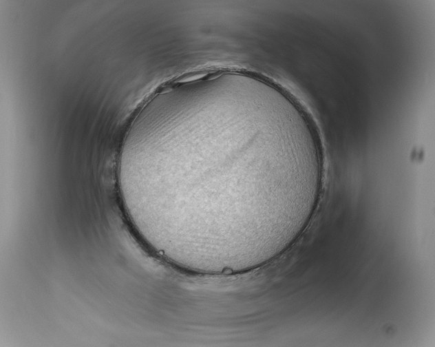 X0000113130009200909251250