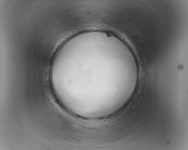 X0000113130010200909251250