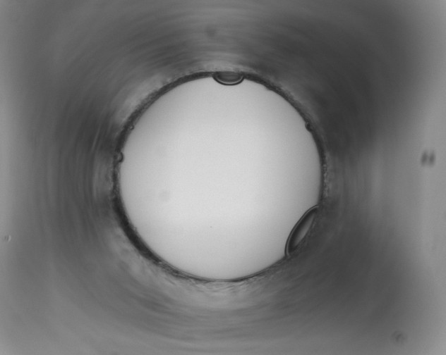 X0000113130015200909251250