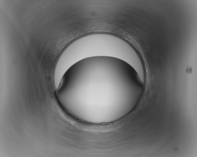 X0000113130017200909251250