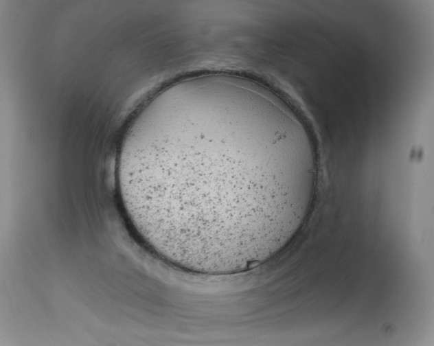 X0000113130019200909251250