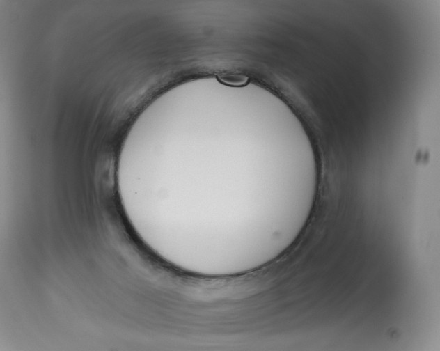 X0000113130021200909251250