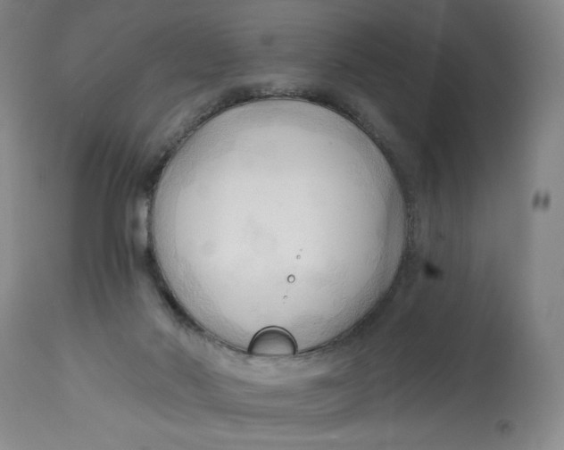 X0000113130022200909251250