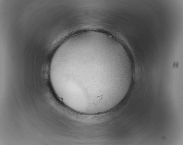 X0000113130023200909251250