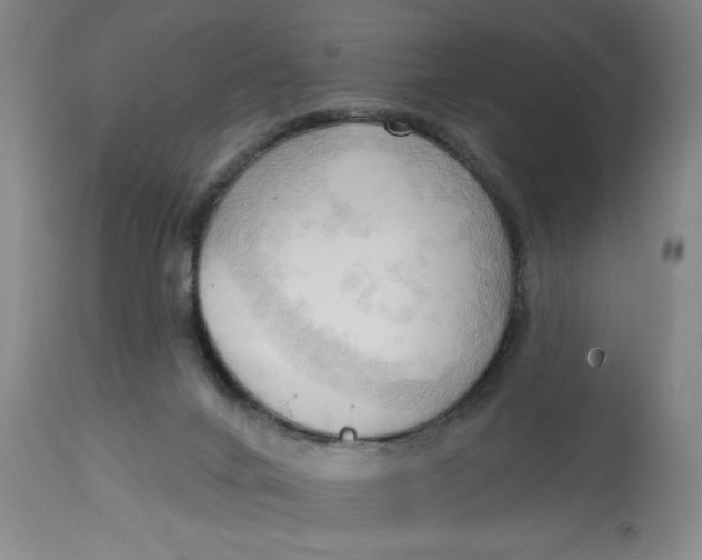 X0000113130024200909251250