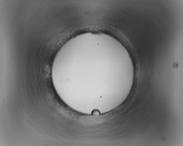 X0000113130025200909251250