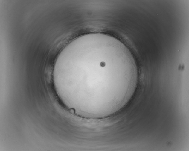 X0000113130026200909251250