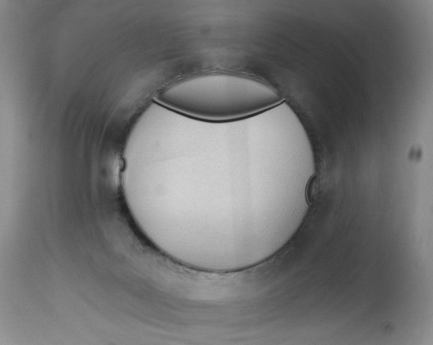 X0000113130027200909251250