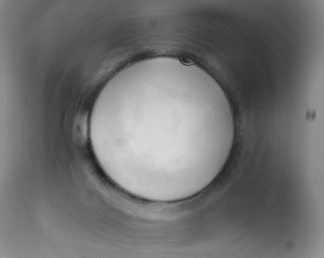 X0000113130028200909251250