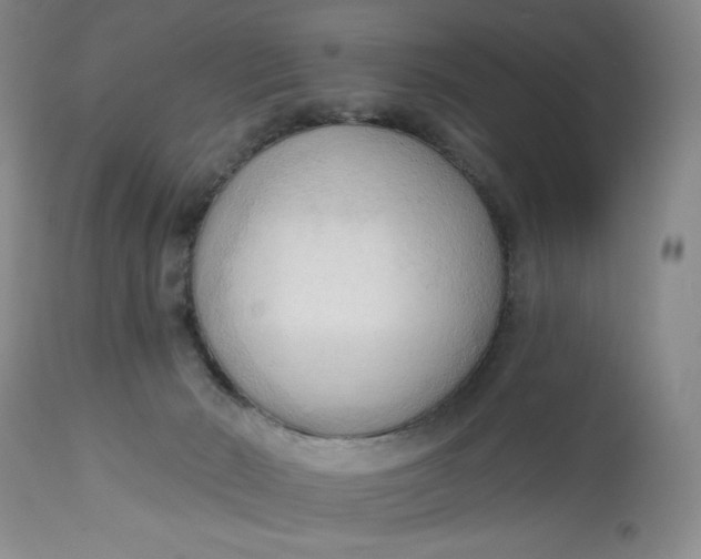 X0000113130030200909251250