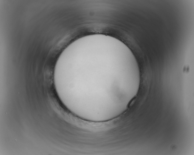 X0000113130031200909251250