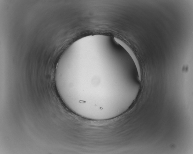 X0000113130033200909251250