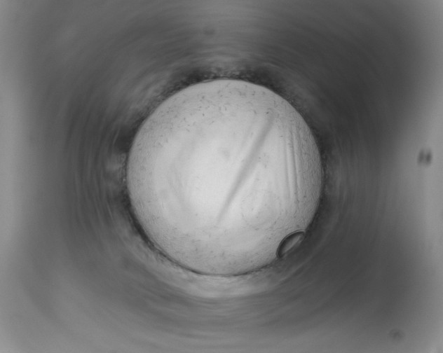 X0000113130034200909251250