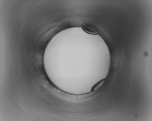 X0000113130035200909251250