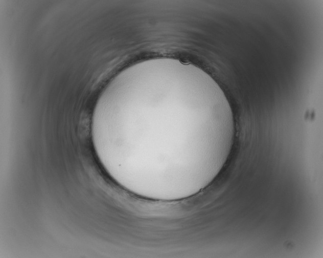 X0000113130036200909251250