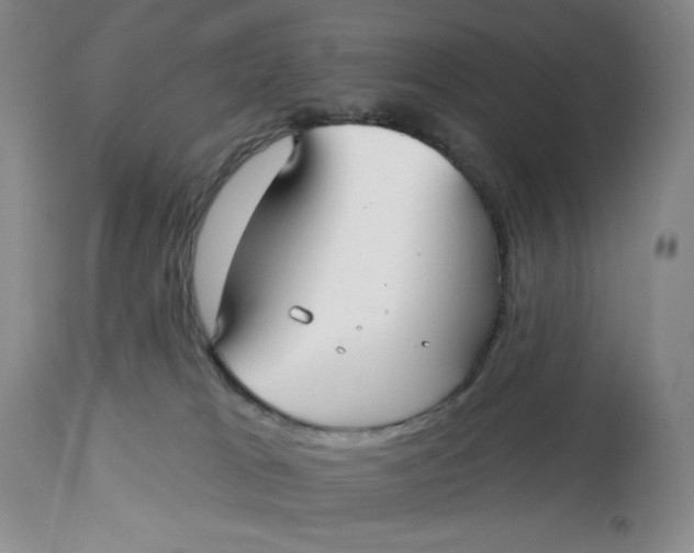 X0000113130037200909251250