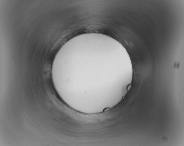 X0000113130038200909251250