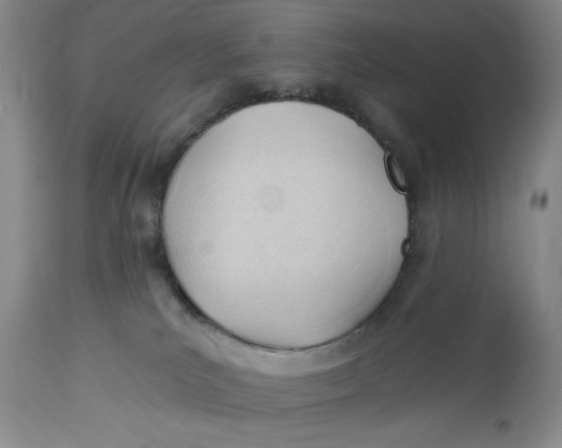 X0000113130039200909251250