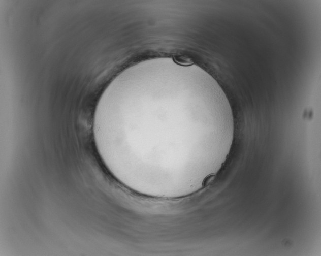 X0000113130040200909251250