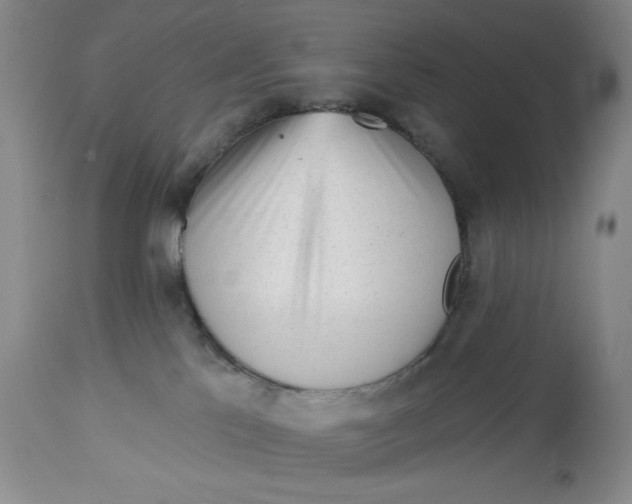 X0000113130041200909251250