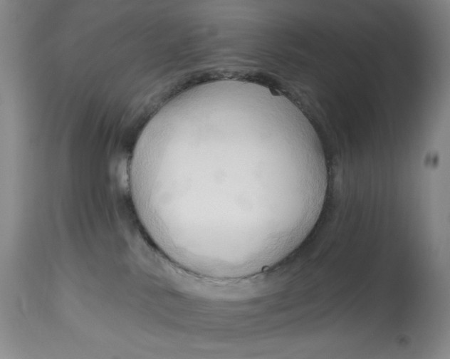 X0000113130042200909251250