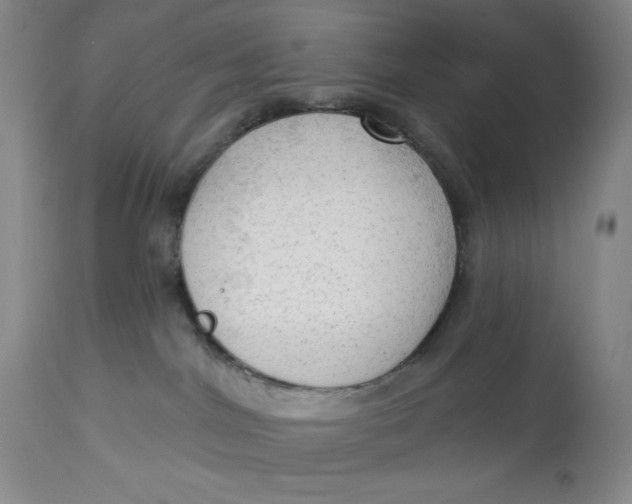 X0000113130044200909251250