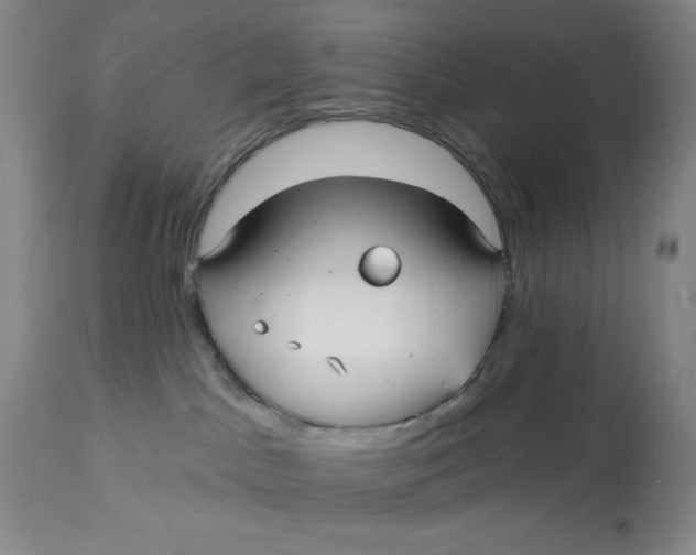 X0000113130045200909251250