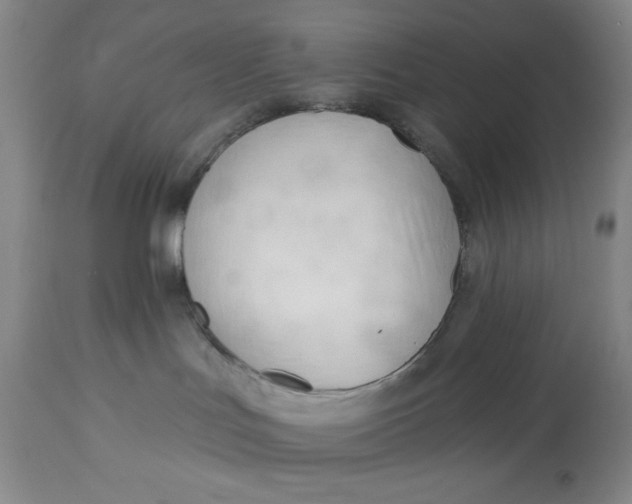 X0000113130047200909251250