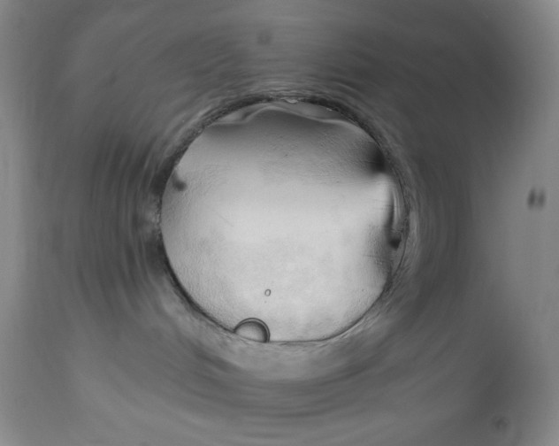 X0000113130048200909251250