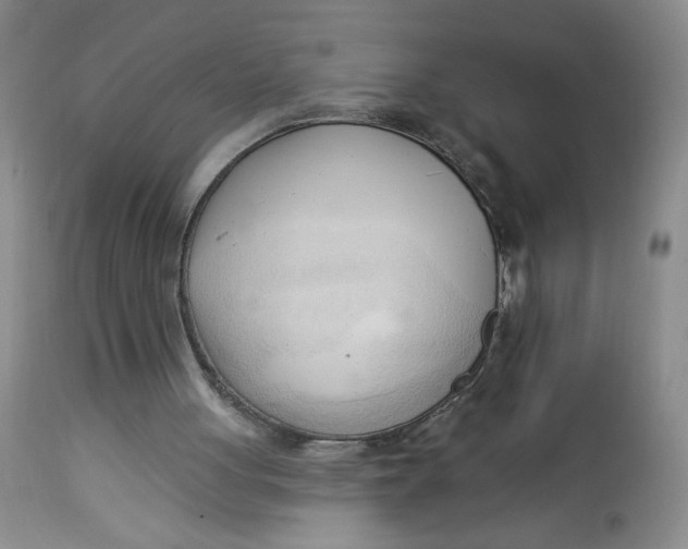 X0000113130051200909251249